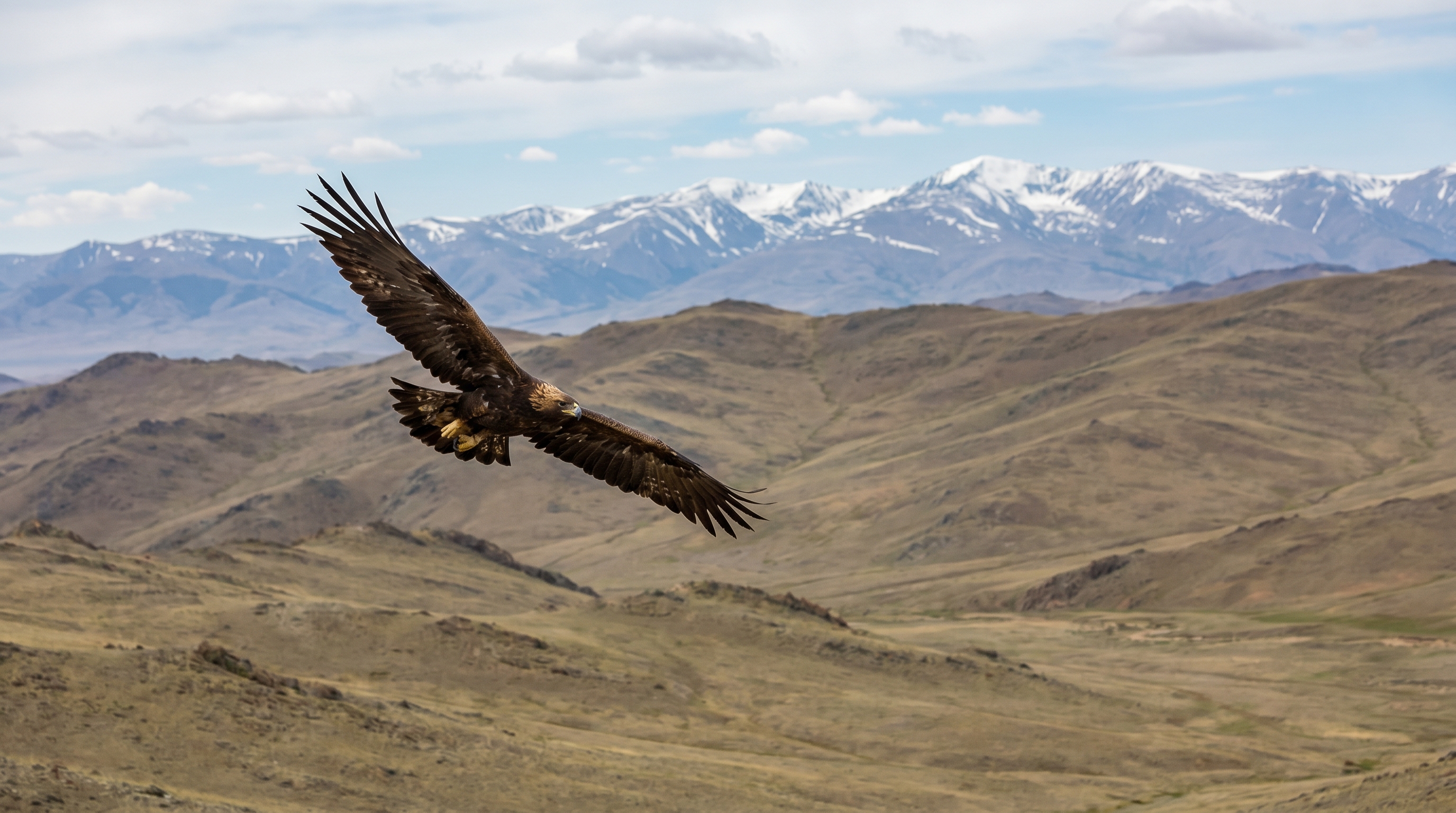Eagle Hunter